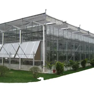 FM רוח עמיד מראש פבריקה טד אחד להפסיק גנים חממה חלקי ויקטוריאני זכוכית ירוק בית שבב יחיד חממה