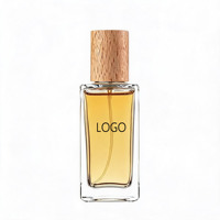 Parfum pour homme de haute qualité aux notes boisées, léger et frais, EDP, écologique, longue tenue, flacon en verre, Cologne pour homme, vente en gros OEM