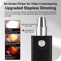 Lampe torche professionnelle 4000mAh pour la vérification des faux billets, des passeports et des cartes d'identité, filtre ZWB2, lampe torche UV avec pointeur laser
