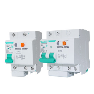 Disjoncteur différentiel Tianzheng 2P 63A Protection contre les fuites Utilisation domestique Montage sur rail DIN - Product Image 2