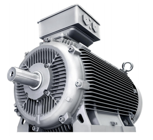 Motor de Inducción Trifásico Innomotics 1LE08 de Alta Eficiencia, 500kW, 50Hz, 2P 4P 6P 8P, Protección IP55 - Product Image 2