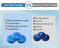 Bloc Nettoyant WC Personnalisable avec Votre Logo, Désodorisant pour Tapis de Sol de Salle de Bain, Élimine les Taches et les Odeurs, Gel Nettoyant pour Urinoirs et Toilettes