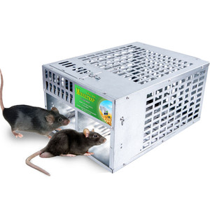 Piège à souris sans cruauté, cage robuste en fer, piège à rats à porte unidirectionnelle, attrape-rongeurs domestique, outil de lutte antiparasitaire - Product Image 1