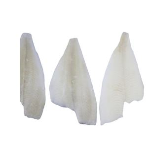 Meistverkaufte gefrorene YFS-Filets (Limanda aspera) für Großabnehmer und Exportmärkte, perfekt für Meeresfrüchteverarbeiter. - Product Image 1