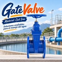 Vanne à opercule à tige non montante en fonte, à bride, à joint souple, pour l'alimentation en eau incendie et les salles de pompage, fabrication OEM