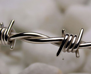 รั้วลวดหนามเคลือบพีวีซีคุณภาพสูง ราคาถูก สำหรับโรงงาน สนามบิน ฟาร์ม สีเขียว ผลิตจากโรงงานสแตนเลส - Product Image 6