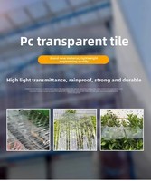 Plaque en polycarbonate PVC alvéolaire haute résistance, protégée contre les UV, pour panneaux de toiture de serre