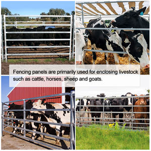 Pannelli per Recinti per Bestiame Resistenti, Recinzione Agricola Zincata Personalizzata, Recinto Mobile Portatile per Cavalli, Barriera per Animali da Allevamento - Product Image 4