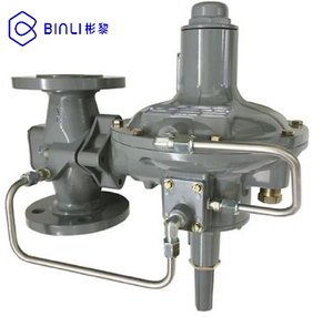 The Chinese Pressure Regulating Station Is Equipped With 299h Series Pressure Regulator And Pressure Gauge - Product Image 6