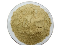 Poudre de gingembre moulu de qualité alimentaire, sans additifs, vente en gros en vrac pour la cuisine et l'assaisonnement