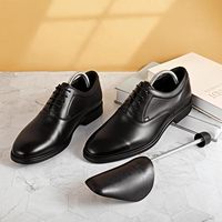 DAYOOH Embouts de formage de chaussures en plastique avec ressort réglable pour maintenir la forme des baskets