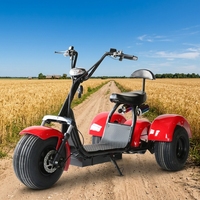 EEC Sertifikalı 2000W Şişman Lastikli Elektrikli Üç Tekerlekli Bisiklet 3 Tekerlekli Citycoco 60V Lityum Bataryalı Büyük Tekerlekli Elektrikli Motosiklet Yetişkin