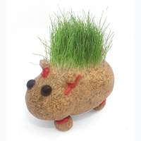 Poupée à tête d'herbe-Jouet de plantation amusant pour enfants, cadeau unique, eau pour cultiver l'herbe, forme de poupée