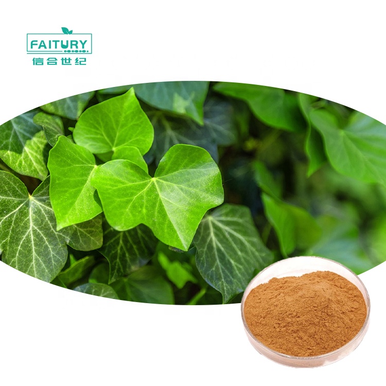 Faitury Wholesale Hedera Helix Extract 5:1 Ivy Leaf Extract Powder|  Alibaba.com