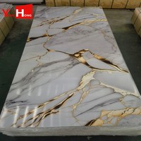 Panneaux muraux décoratifs en plastique de feuille de marbre de PVC de panneau UV complet du grain 1220mm * 2440mm