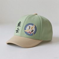 AOYOU Venta Directa a Bajo Precio, Gorra de Béisbol de Estilo Chino de Alta Calidad, 6 Piezas, con Bordado 3D de Alta Calidad