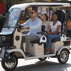 Holladay 60V Electric Minibus 4seats Electric Bike High Speed Large Loading Capacity Electric Passenger Quadricycle Vehicle - Product Image 6