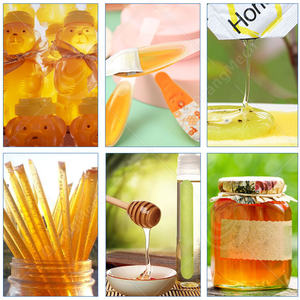 Système d'extraction automatique de miel ORME : Nouvelle ligne complète de pressage, filtration et raffinage du miel d'abeille pour le commerce - Product Image 6