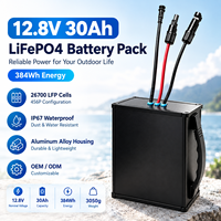 Paket Baterai LiFePO4 12.8V 30Ah 384Wh 26700 LFP Tahan Air IP67