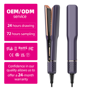 Plancha de Pelo Eléctrica Profesional de Cerámica con Vapor EFA M650 con <span class=keywords><strong>Cepillo</strong></span> y Control de Temperatura Múltiple - Product Image 3