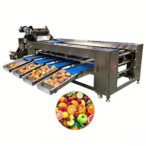 Ligne de tri de fruits (mandarines, ananas, tomates cerises, oranges Navel, châtaignes, noix) pour usine de transformation de légumes et de mandarines - Product Image 1