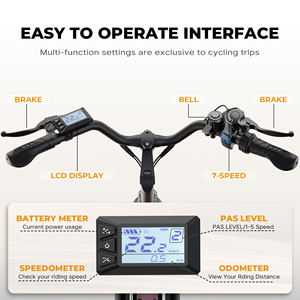Vélo électrique de ville VARUN, autonomie de 50 km, 26 pouces, frein à disque mécanique, 750 W de puissance, pour trajets urbains, hommes, en stock en UE - Product Image 3