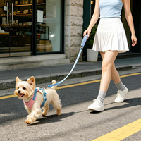 Harnais pour petit chien Touchdog avec ailes d'ange, en polyester léger, imperméable, coupe-vent, lavable, avec laisse, vente en gros d'usine