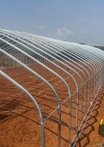 Invernadero Agrícola de Doble Capa y Gran Tamaño para Zonas Rurales, con Techo Inflable y Ventilación Superior, Material PE Tipo Diente de Sierra, Suministrado desde China - Product Image 3