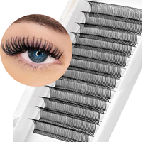 Nouvelle Tendance Cils Effet Mouillé Vente en Gros Plateaux d'Extensions de Cils Effet Mouillé 0.07mm Cils d'Ange Extensions Classiques Courbures J B C CC D DD L M