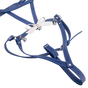 Kit de <span class=keywords><strong>bondage</strong></span> pour adultes de luxe réglable et imperméable en cuir souple pour femmes - Jouets sexuels avec harnais de <span class=keywords><strong>domination</strong></span> et lingerie - Product Image 5