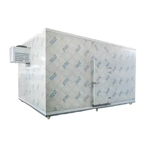 Manufacture Walk In Mobile Cold Storage Freezer Fish Cold Room Refrigeration Commercial Cold Room Panel Cheap Price