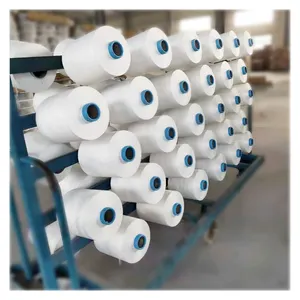 75/72 SIM SD RW Polyester Dty Yarn Factory