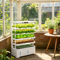 Équipement de plantation verticale intérieure, système hydroponique automatique pour la culture intérieure de bleuets, de laitues et d'herbes aromatiques avec nutriments gratuits