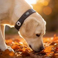 Traceur GPS 4G LTE GPRS professionnel pour chiens et enfants, étanche, sans fil, localisation en temps réel, traceur intelligent et sûr pour animaux de compagnie, GSM WIFI PC