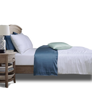 Lyocell Bộ Ga Giường <span class=keywords><strong>Tencel</strong></span> 100% Màu Trơn Ga Trải Giường Sợi Bạch Đàn Thiết Kế Theo Yêu Cầu Của Bạn Cỡ Queen - Product Image 5