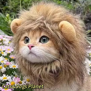 Cappello Divertente in Pile per Cani e Gatti, Costume a Forma di Hamburger per British Shorthair e Cani Tedeschi - Product Image 6