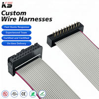Kabel Flat Paralel Custom UL 2651 28AWG 20-pin PH1.27MM Konektor FC DIP 20-pin Custom Garis Abu-abu Tepi Merah