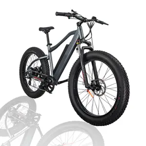 Bisek 전기 자전거 750W 지방 타이어 자전거 해변 크루즈 전자 자전거 모든 지형 오프로드 Ebike 자전거