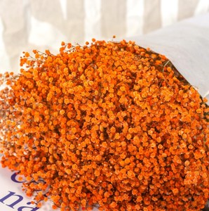 Flores secas de cielo estrellado para decoración del hogar, flores secas para decoración del hogar, fabricantes de accesorios al por mayor - Product Image 4