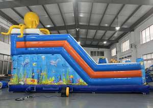 Castillo Inflable de Carnaval de Nuevo Diseño/Parque de Atracciones Inflable Comercial para Interiores y Exteriores - Product Image 4