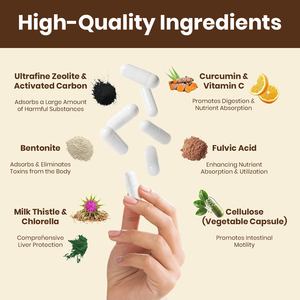 Cápsulas de Zeolita para Desintoxicación, Apoyo Digestivo, Salud Inmunológica y Antioxidante para Adultos, Sin Gluten, OEM/ODM, 2 Cápsulas - Product Image 4