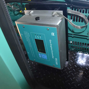 Gerador de gás metano 50KW de alta potência Combustão rápida com aplicação multi-cenário Fase monofásica para biogás de gás natural GLP - Product Image 5