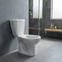 Produits sanitaires en porcelaine pour salle de bain, céramique, WC deux pièces, WC asiatique, WC indien, WC occidental, cuvette de toilette, fabrication en usine