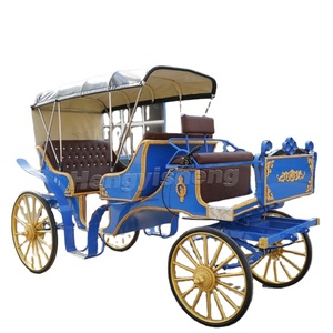 Transport spécial de calèche électrique de haute qualité à bas prix - Product Image 6