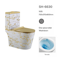 Toilettes de luxe pour salle de bain, vente en gros, personnalisables, à chasse d'eau silencieuse Tornado, avec conception anti-gel, toilettes monobloc à poser au sol