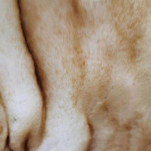 Chăn lông giả kiểu châu Âu màu trắng đen vàng, kích thước 150*200cm, chất liệu lông cáo giả, đặt may theo yêu cầu, số lượng đặt hàng tối thiểu thấp. - Product Image 4