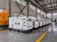 China Yangdong 10kW Generator 12 kW Geräuscharmer 15 kVA Dieselgenerator