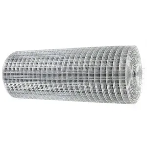 China Manufacturer Galvanized Fencing Iron Netting 10 gauge Welded Wire Mesh perforated metal mesh