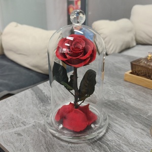 Rosas Cristalinas Transparentes Preservadas, Rosas Eternas Reales, Infinitas, Rosas Eternas Preservadas en Cúpula de Cristal - Product Image 4