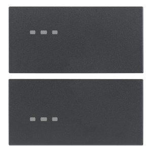 Two Half Keys 2M Neutral Custom Grey Push <b>Button</b> Switches 6.5 In Length 1 In Height - Product Image 1